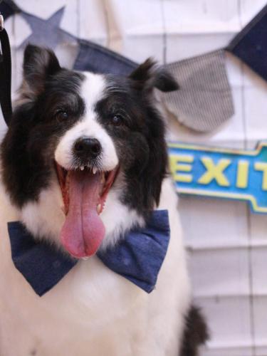 20230402ラムちゃん